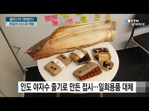 [사이언스TV] 먹는 빨대·야자수 접시 'No 플라스틱'이 창업 아이템