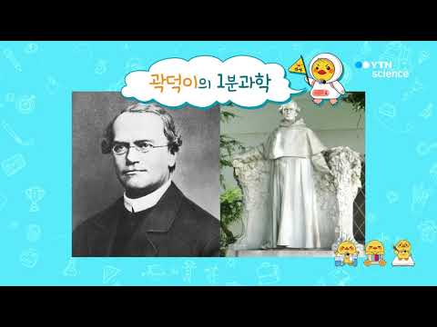 [사이언스TV] 곽덕이의 1분 과학 멘델