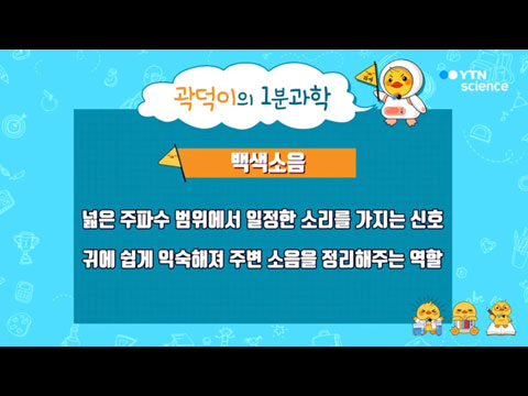 [사이언스TV] 백색소음