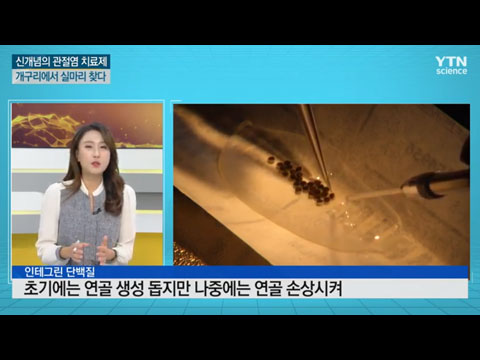 [사이언스TV] 개구리에서 관절염 치료제, '손난로'의 원리