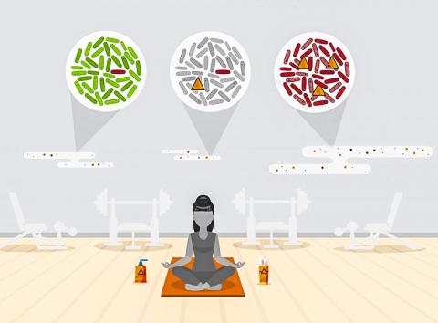 [사이언스타임즈] 항균 청결제가 항생제 내성 키워