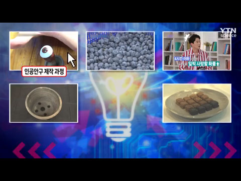 [사이언스TV] 진짜 눈보다 더 진짜 같은 인공안구 만드는 과정