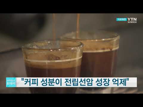 [사이언스TV] 커피에 전립선암 억제 성분, 동물 실험 통해 확인