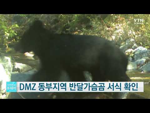 [사이언스TV] DMZ 동부지역 멸종위기 반달가슴곰 서식 확인