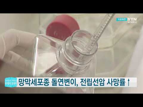 [사이언스TV] 망막세포종 돌연변이 전립선암 사망률↑