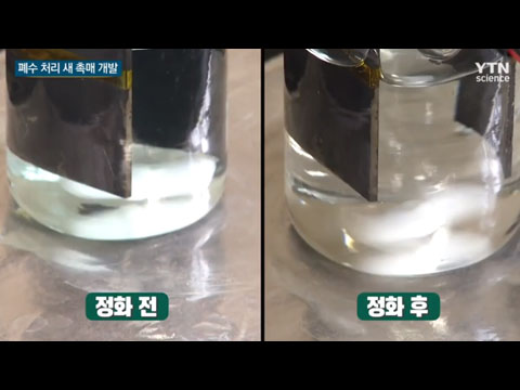 [사이언스TV] 페놀 폐수 간단하고 빠르게 정화