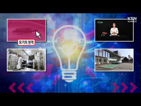 [사이언스TV] 잔물땡땡이 유충은 모기 유충을 잡아먹는 최고의 천적이다?
