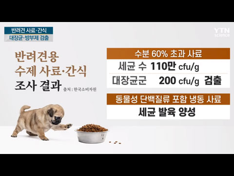 [사이언스TV] 비싼 '수제' 반려견 사료·간식서 대장균·방부제 검출