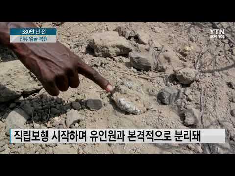 좁은 얼굴에 두드러진 턱, 380만 년 전 인류 얼굴 복원