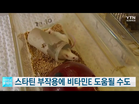 고지혈증 치료제 '스타틴' 부작용엔 비타민E가 도움