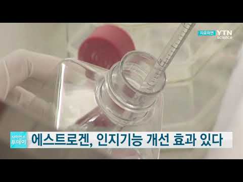 여성 호르몬 '에스트로겐' 인지기능 개선 효과 있다