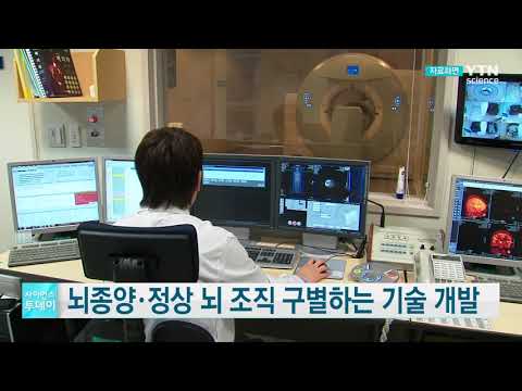 뇌종양과 정상 뇌 조직 구별하는 영상 기술 개발