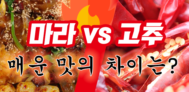 [시즌1] [카드뉴스] 마라 VS 고추