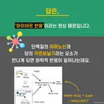 [시즌1] [카드뉴스] 고기는 왜 구우면 갈색으로 변할까?