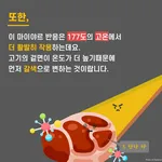 [시즌1] [카드뉴스] 고기는 왜 구우면 갈색으로 변할까?