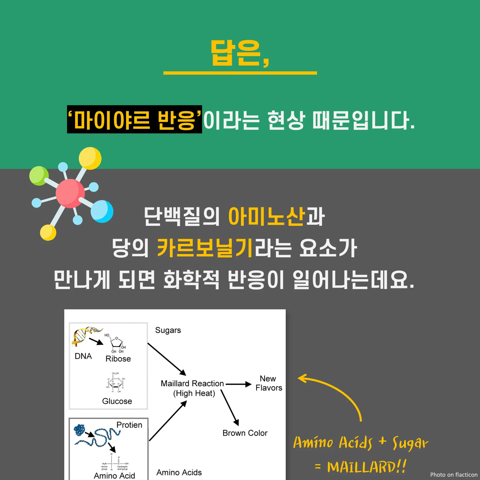 [시즌1] [카드뉴스] 고기는 왜 구우면 갈색으로 변할까?