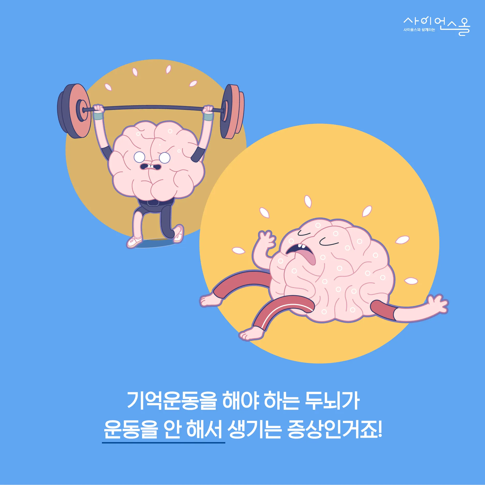 [카드뉴스] 영츠하이머