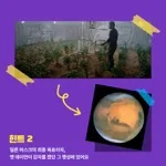 [카드뉴스] 태양계에서 가장 높은 산은 어디일까?