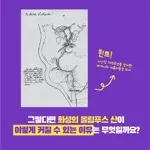 [카드뉴스] 태양계에서 가장 높은 산은 어디일까?