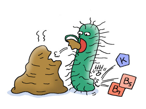 [사이언즈타임즈] 대장균은 우리에게 해로운 세균일까?