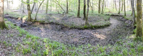 지구촌 강이 메말라간다