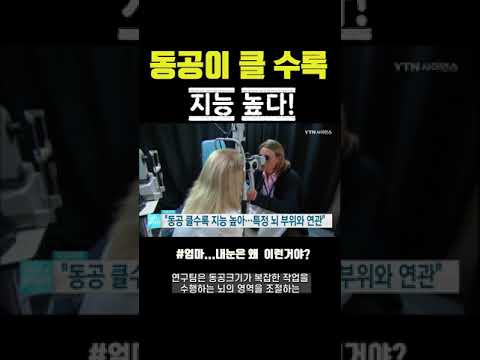 동공이 클 수록 지능 높다#shorts