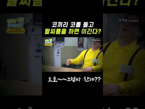 코끼리 코를 돌고 팔씨름을 하면 이기는 확률 업!!#shorts