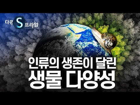 멸종위기 속 생물다양성을 말하다 [#다큐S프라임]