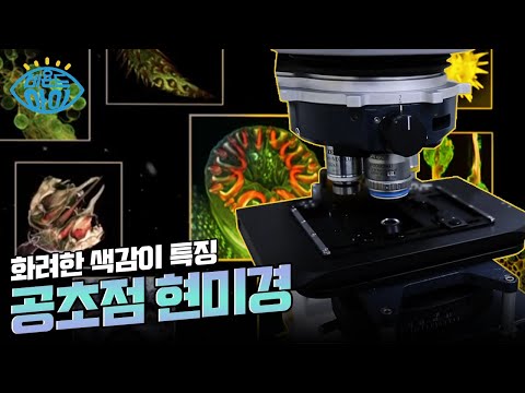 무궁무진한 잠재력의 '공초점 현미경' ? [#아이노트]