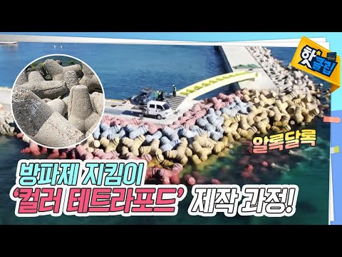 돌기와 알록달록 색깔을 더한 방파제 지킴이 테트라포드 [#핫클립]