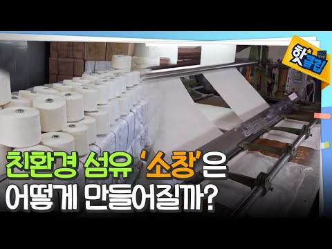 목화로 만드는 천연섬유, 소창! [#핫클립]