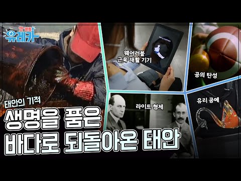 해양 생태계가 무너졌던 그 날의 사고 ? [#핫클립유레카]