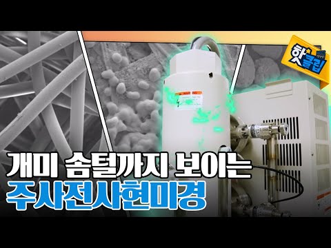 150만 배 확대 가능한 주사전사현미경의 원리 [#핫클립]