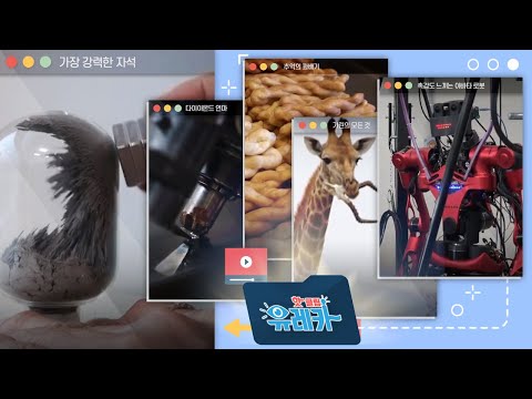 세상에서 가장 강력한 자성체! ? [#핫클립유레카]