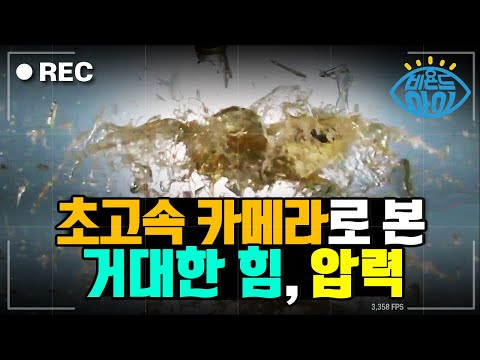 웅장해진다... 거대한 힘, 압력 [#비욘드아이컷]