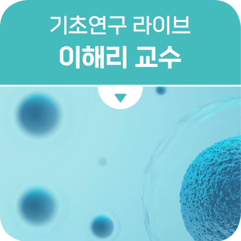 자극 감응성 초분자체 합성한 물리·화학적 성질을 규명, 한남대학교 화학과 이해리 교수