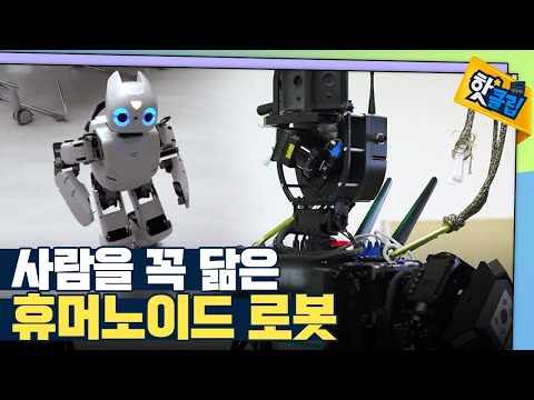 [핫클립] 로봇의 동작에는 어떤 수학 원리가 있을까?