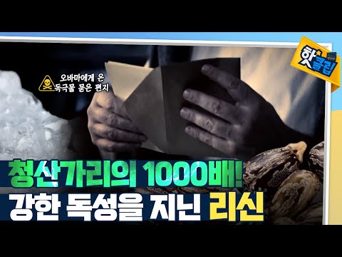 [핫클립] 사람을 사망에 이르게 한 알갱이 속 물질