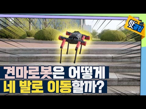 [핫클립] 사족보행 로봇인 견마로봇 속 수학