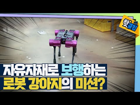 [핫클립] 산전수전을 겪고 있는 로봇 강아지