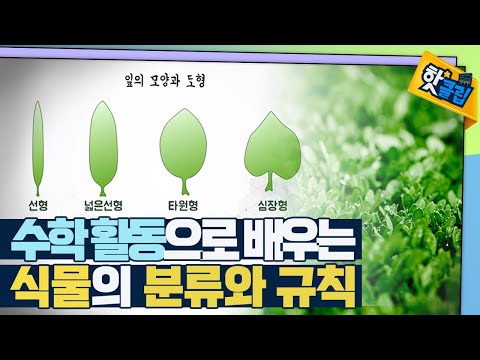 [핫클립] 식물로 배우는 수학