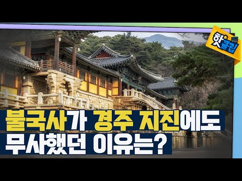 [핫클립] 지진에도 끄떡없었던 불국사 속 수학