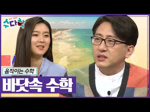 [수다학] 수학의 보물창고 바다! 바닷속 신기한 수학 법칙