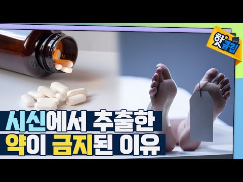 [핫클립] 시체에서 약을 추출했었다?