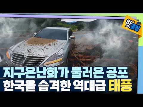 [핫클립] 큰 피해를 주는 태풍, 왜 잦아졌을까?