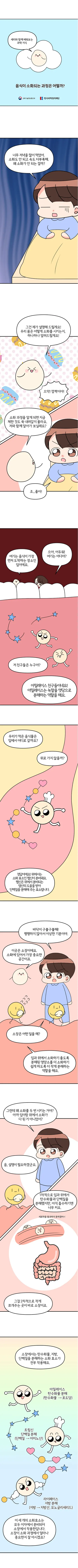 [분야] 생물<br>[주제] 소화 효소의 작용<br>[콘텐츠명] 음식이 소화되는 과정은 어떨까?(정리)<br>[유형] 웹툰<br>[난이도] 중등 이상