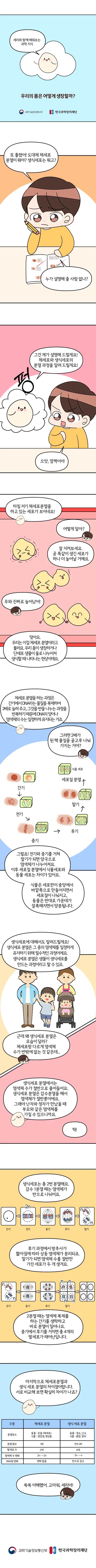 [분야] 생물<br>[주제] 체세포 분열과 생식세포 형성과정<br>[콘텐츠명] 우리의 몸은 어떻게 생장할까?(전개)<br>[유형] 웹툰<br>[난이도] 중등 이상
