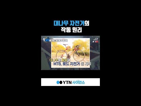 대나무 자전거의 작동 원리 #shorts