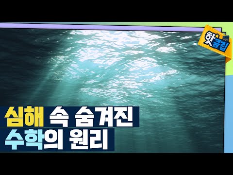[핫클립] 심해 속 숨은 수학
