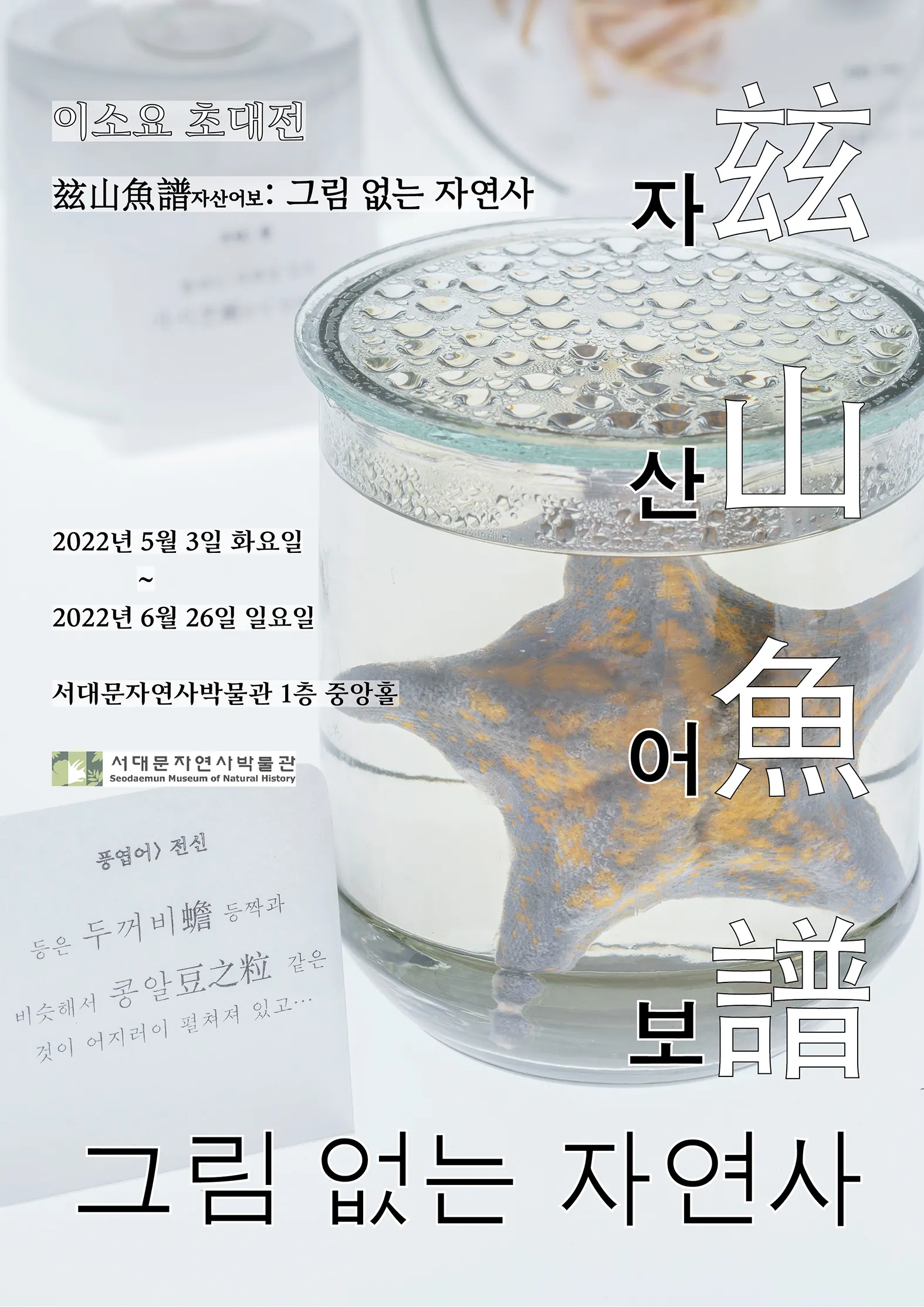 자산어보 : 그림 없는 자연사